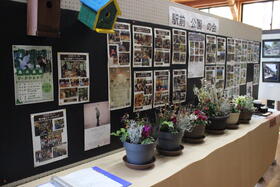 2025.11_5414.JPGのサムネイル画像